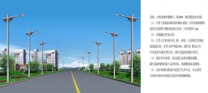 【定制路燈案例】新疆阿拉爾經濟開發區路燈工程