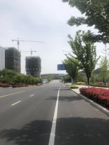 【LED路燈項目案例】青島某主干路路燈工程項目